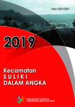 Kecamatan Suliki Dalam Angka 2019